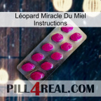 Léopard Miracle Du Miel Instructions 09